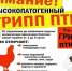 Внимание! Высокопатогенный грипп птиц! - Аяно-Майский район