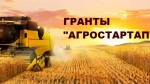 Агростартап