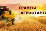 Агростартап