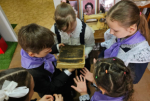 В Хабаровском крае стартовала неделя