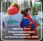 Волонтеры Хабаровского края помогут с организацией голосования за объекты благоустройства