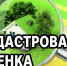 НОВАЯ КАДАСТРОВАЯ ОЦЕНКА В 2026 ГОДУ - Аяно-Майский район