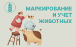 Информация для владельцев сельскохозяйственных животных!